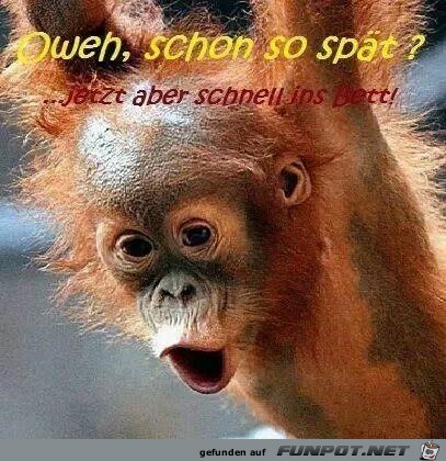 o weh o weh