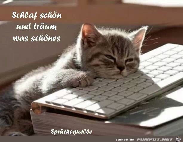 schlaf schoen schlaf schoen