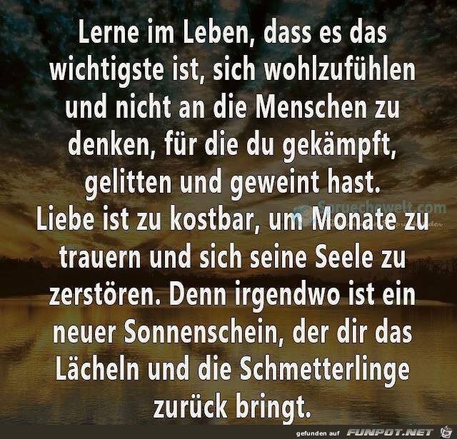 Lerne im Leben