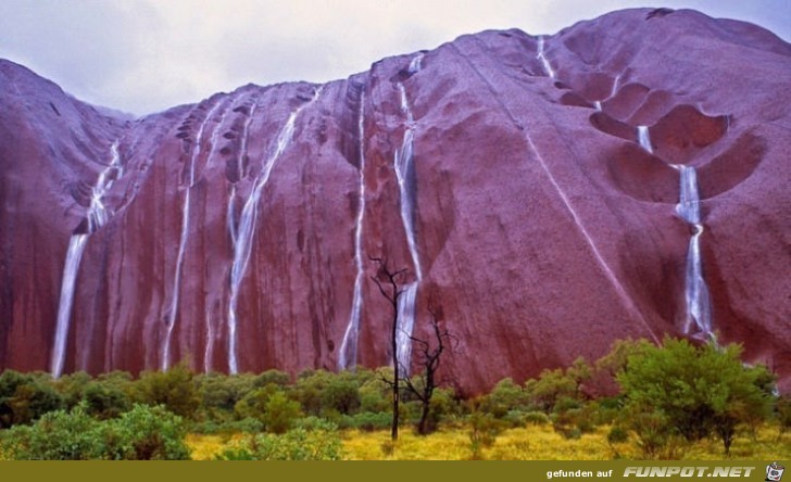 Wunder der Natur 5 Wunder der Natur 5
