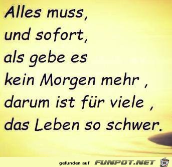 alles muss alles muss