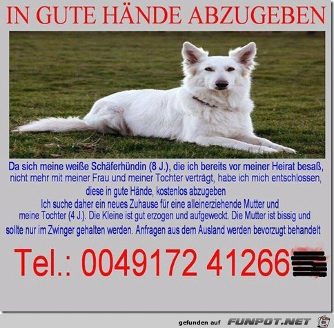 in gute Hände abzugeben in gute Hände abzugeben