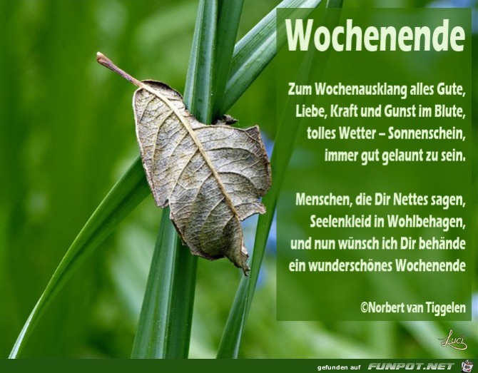 Wochenende LuciMetternich9-----