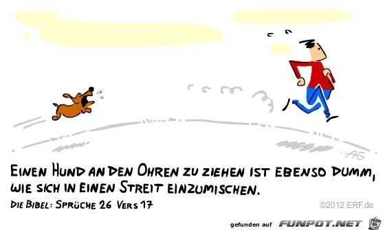 Sprueche 26 17 Sprueche 26 17