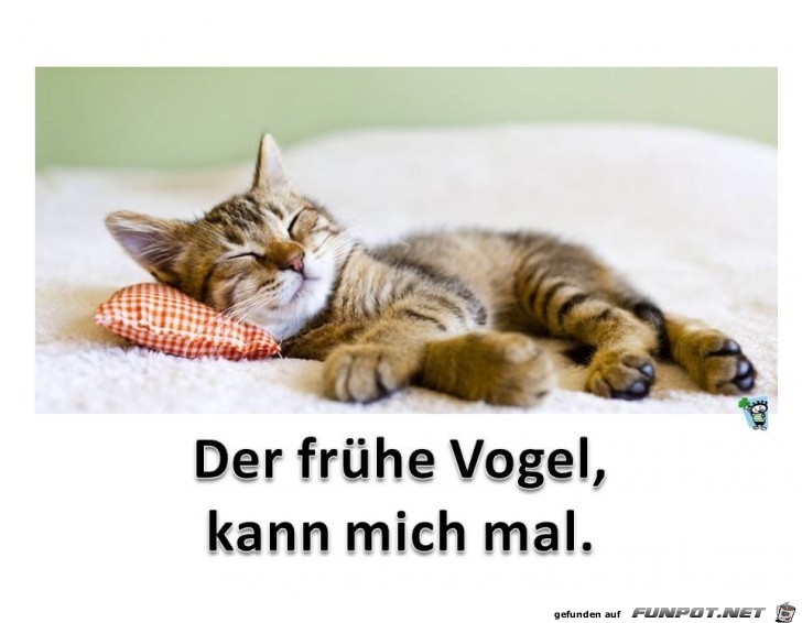 Der fruehe Vogel Der fruehe Vogel