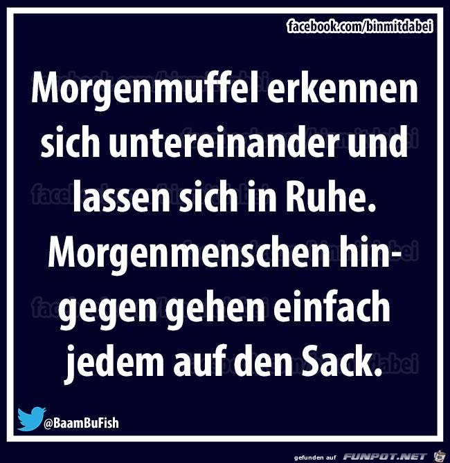 Morgenmuffel Morgenmuffel