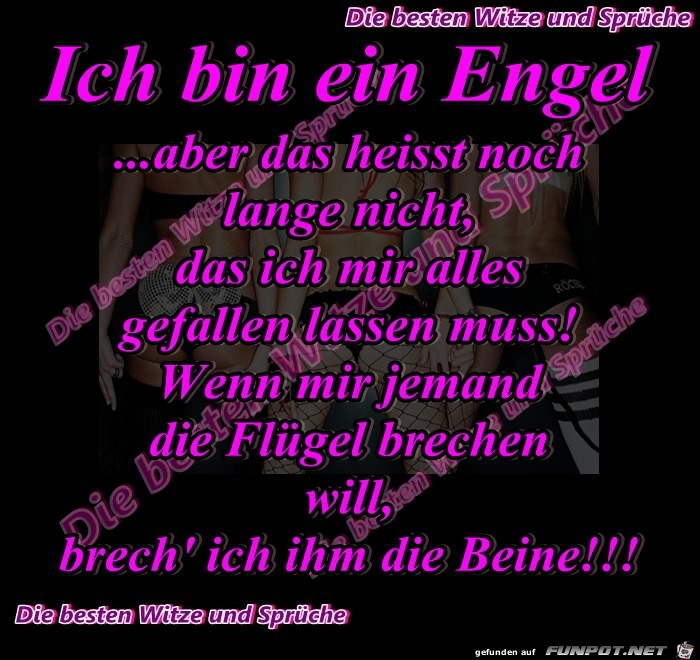 Engel Engel