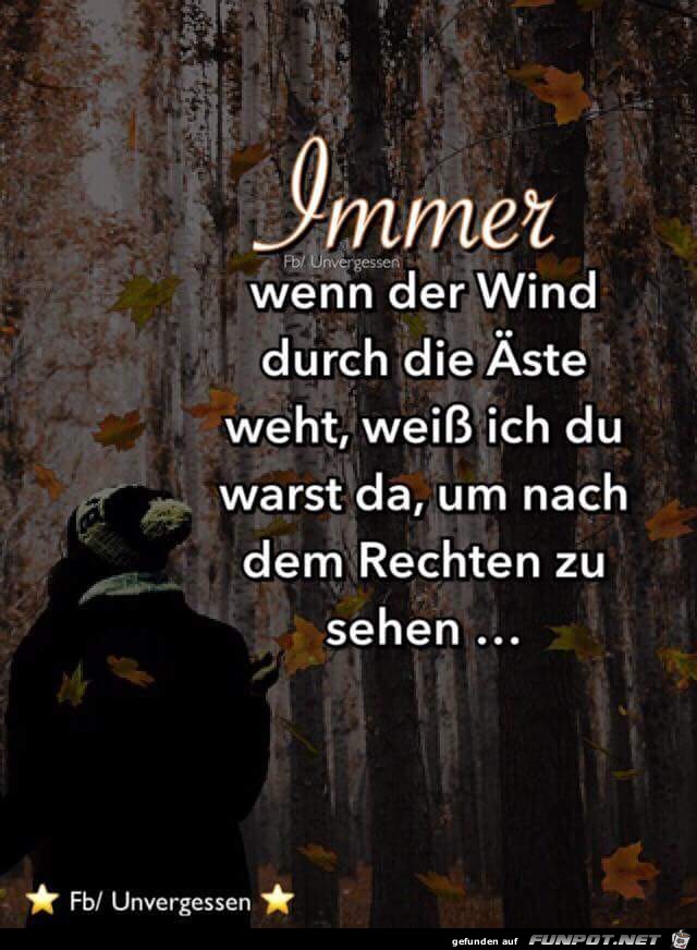 immer wenn der Wind