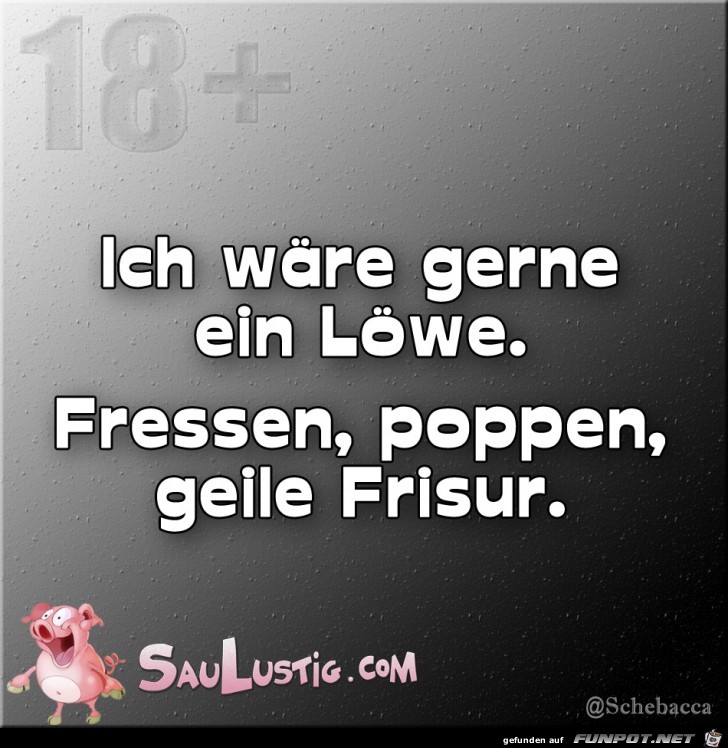 Ich-waere-gerne-ein-Loewe Ich-waere-gerne-ein-Loewe