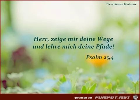 Psalm 24 4 Psalm 24 4