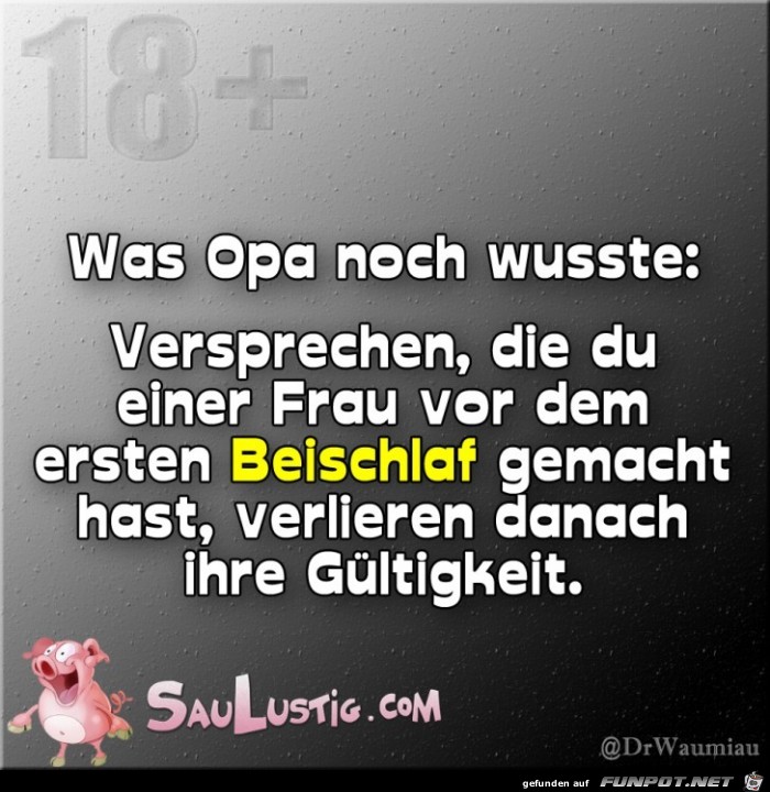 Was-Opa-noch-wusste