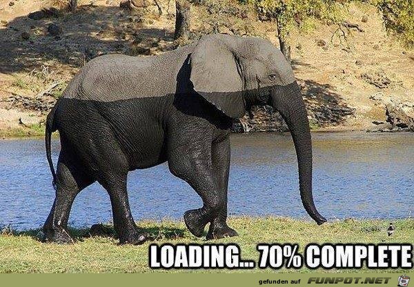 Loading