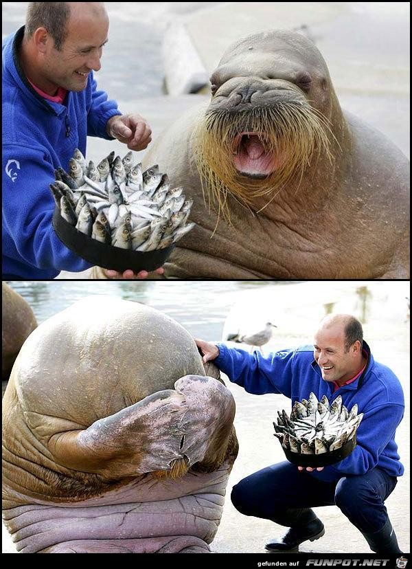 Happy Birthday Happy Birthday