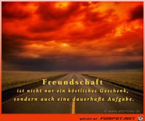 Freundschaft 