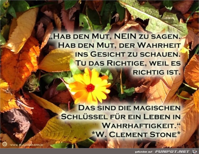 Nein sagen Nein sagen