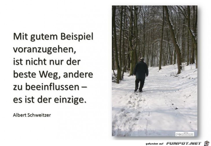 Mit gutem Beispiel Mit gutem Beispiel