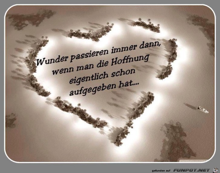 Wunder