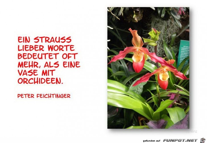 Ein Strauss lieber Worte