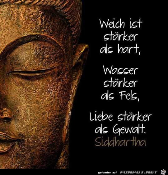 weich ist staerker weich ist staerker