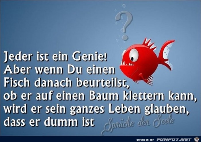 Genie Genie