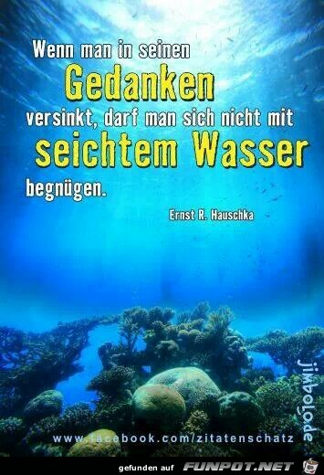 seichtem Wasser seichtem Wasser