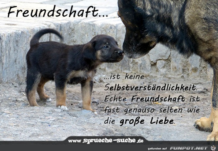 Freundschaft