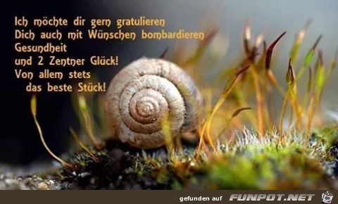 gratulieren gratulieren