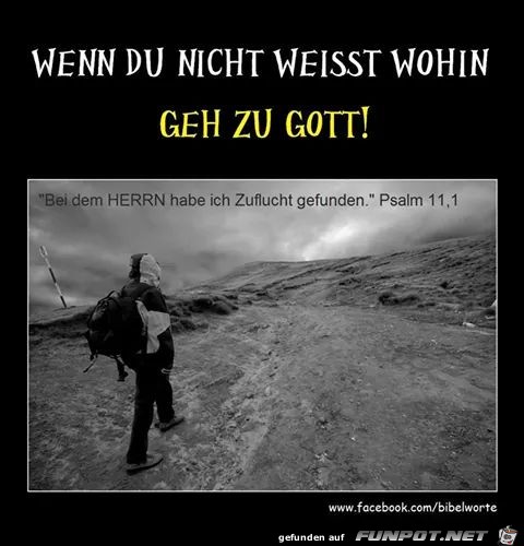 Psalm 11 1 Psalm 11 1