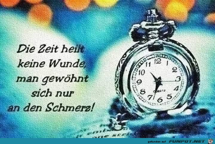 gewoehnen gewoehnen