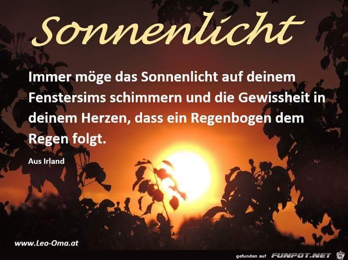 Sonnenlicht