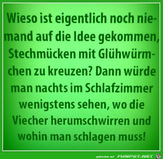 Stechmuecken und Gluehwuermchen Stechmuecken und Gluehwuermchen