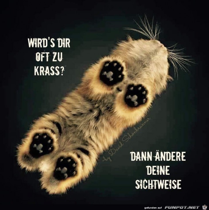 wirds dir oft zu krass wirds dir oft zu krass
