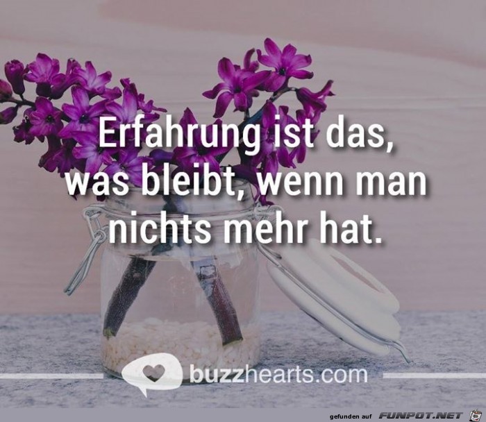 Erfahrung