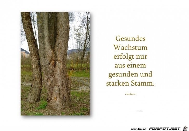 gesundes wachstum