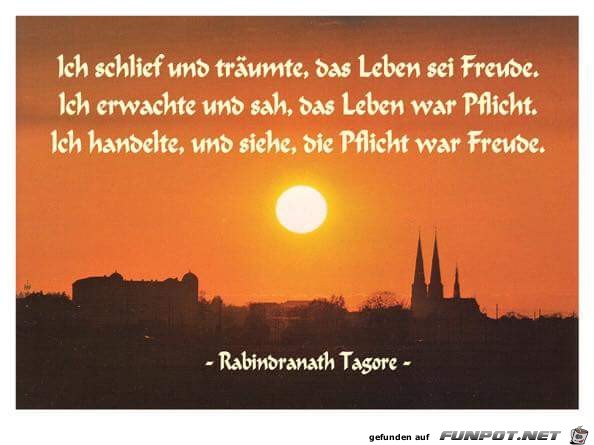 Freude Freude