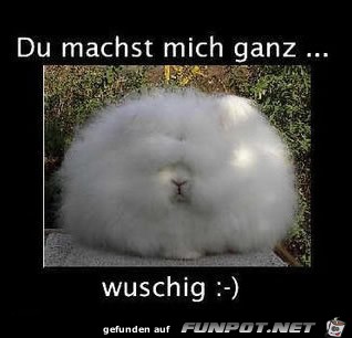 Wuschig Wuschig