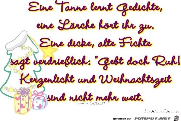eine Tanne lernt Gedichte eine Tanne lernt Gedichte