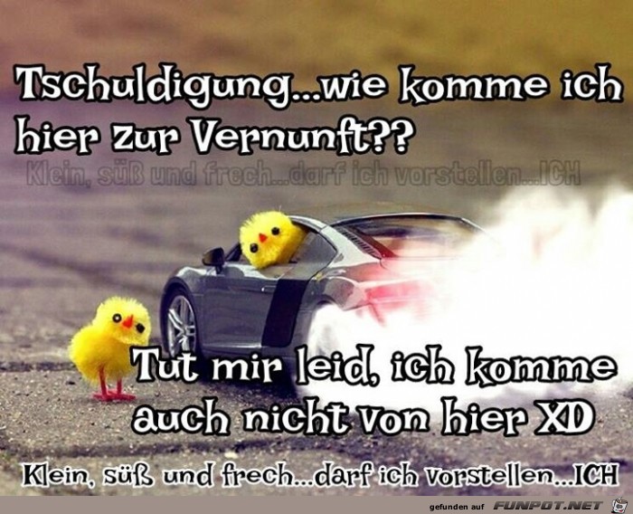 Tschuldigung Tschuldigung