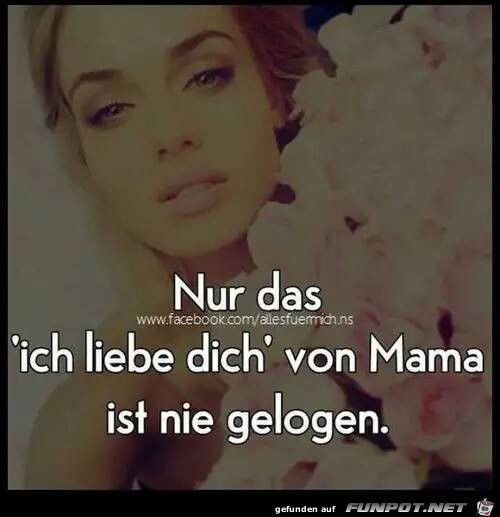 fb nie gelogen fb nie gelogen