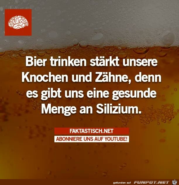 Bier trinken