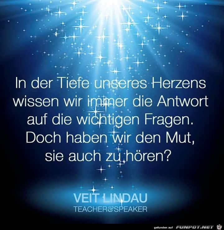 Fragen Fragen