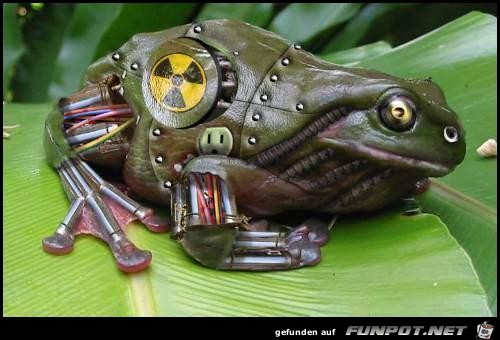 Roboturtle Roboturtle