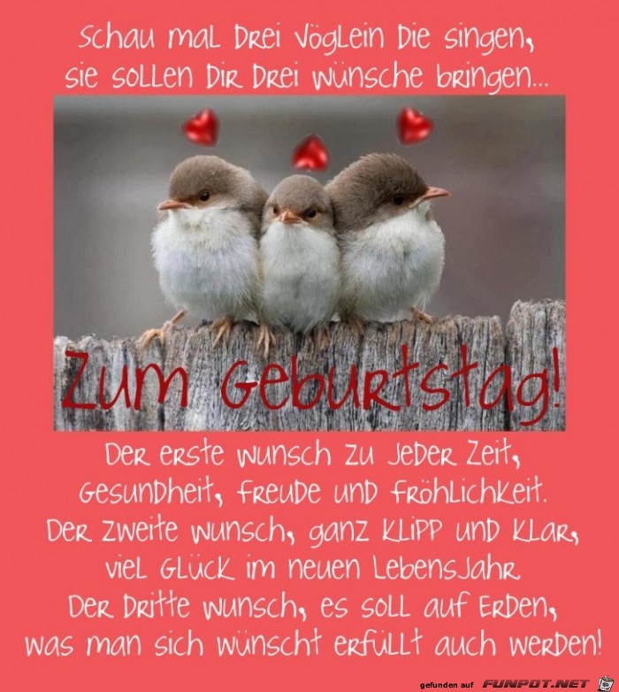 Schau mal Schau mal