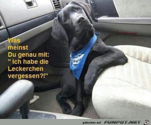 Was meinst Du mit... Was meinst Du mit...