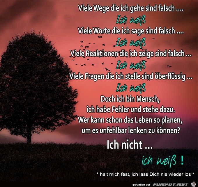 Viel Viel