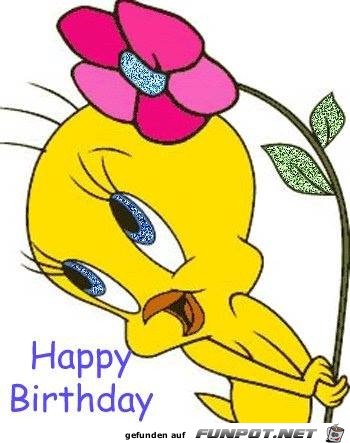 happy birthday happy birthday