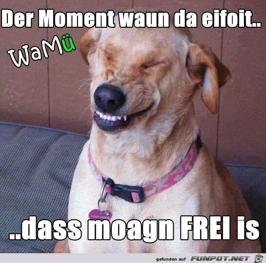 Der Moment