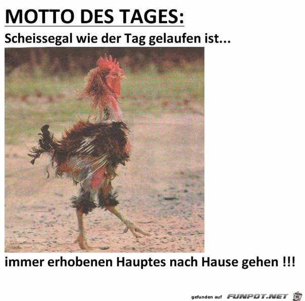 scheißegal wie der Tag gelaufen ist... scheißegal wie der Tag gelaufen ist...