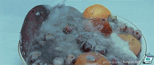 Mold Mold