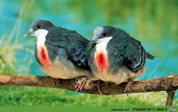 image008 image008